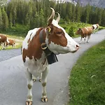 Centre Hotell Crans-Montana