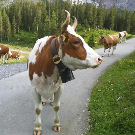 Centre Hotel Crans-Montana