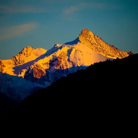 Centre بيت خشبي